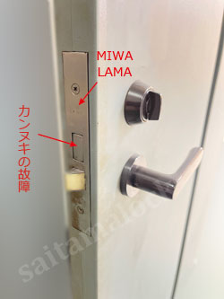 MIWA LAMA